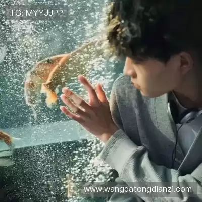 庞眉